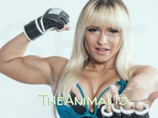 TheAnimal13