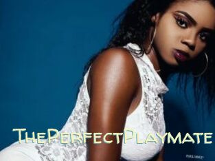 ThePerfectPlaymate