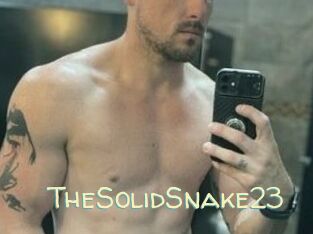TheSolidSnake23
