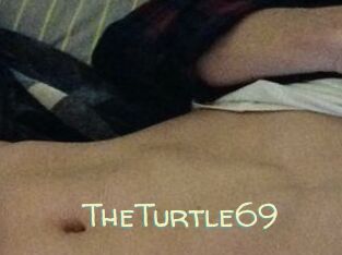 TheTurtle69