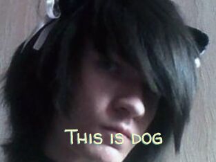 This_is_dog