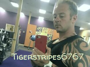 Tigerstripes6767