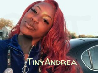 TinyAndrea