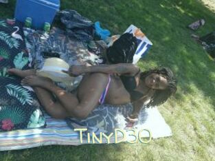 TinyD30