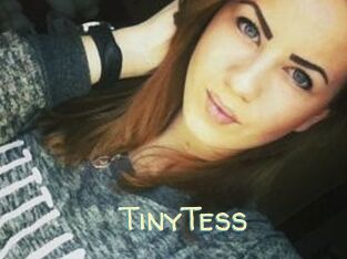 TinyTess