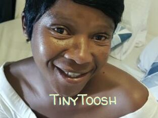 TinyToosh