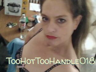 TooHotTooHandle018