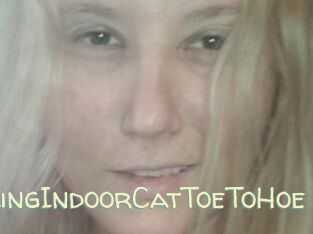 TravellingIndoorCatToeToHoe