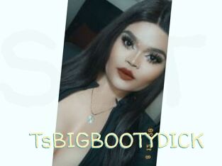 TsBIGBOOTYDICK