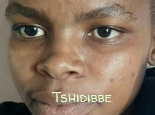 Tshidibbe