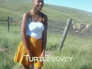 Turtledovey