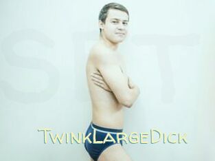 TwinkLargeDick