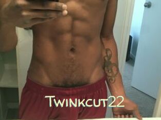 Twinkcut22