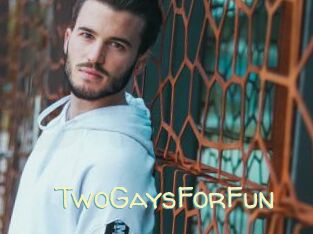TwoGaysForFun
