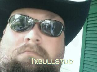 Txbullstud