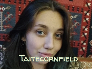 Taitecornfield