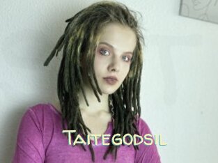 Taitegodsil
