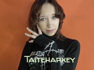 Taiteharkey