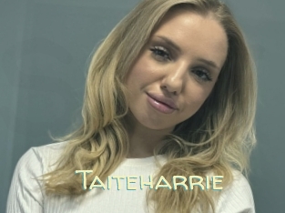 Taiteharrie