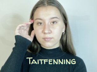 Taitfenning
