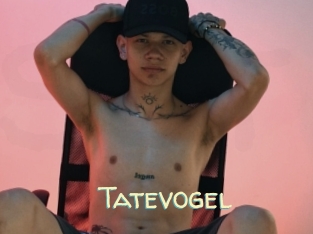 Tatevogel