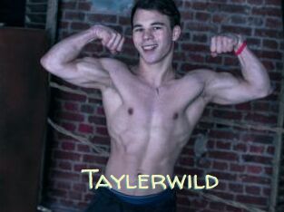 Taylerwild