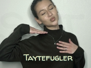 Taytefugler