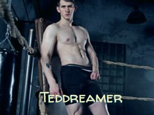Teddreamer