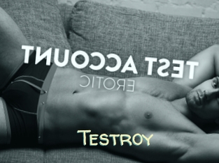 Testroy