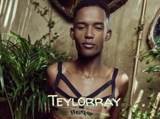 Teylorray