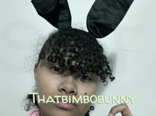 Thatbimbobunny