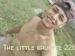 The_little_bruette_228