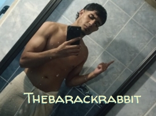 Thebarackrabbit