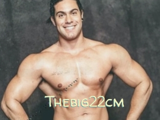 Thebig22cm