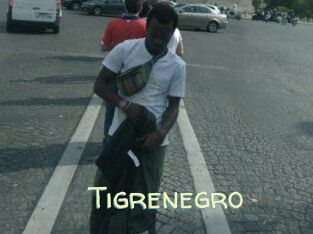 Tigrenegro