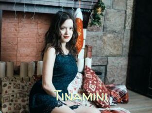 Tinamini