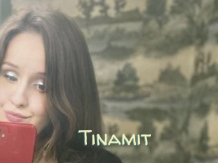 Tinamit