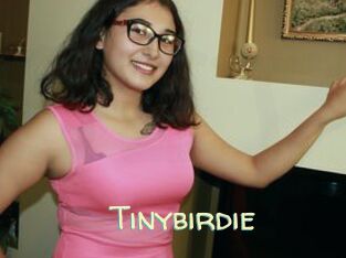 Tinybirdie
