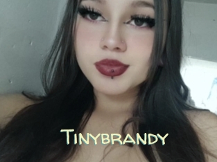 Tinybrandy