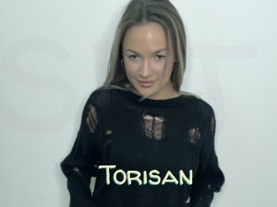 Torisan