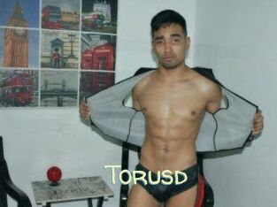 Torusd