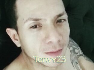 Torvy23