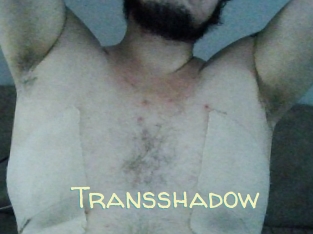 Transshadow