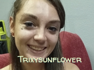 Trixysunflower