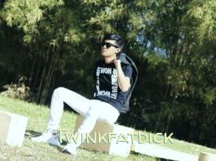 Twinkfatdick
