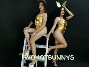 Twohotbunnys