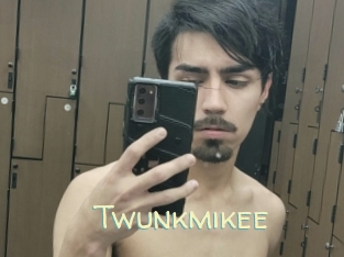 Twunkmikee