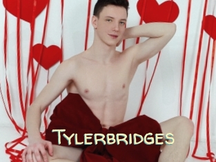 Tylerbridges