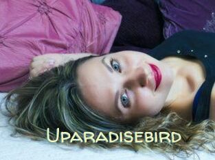 Uparadisebird