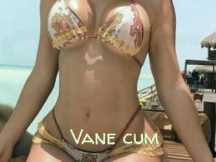 Vane_cum